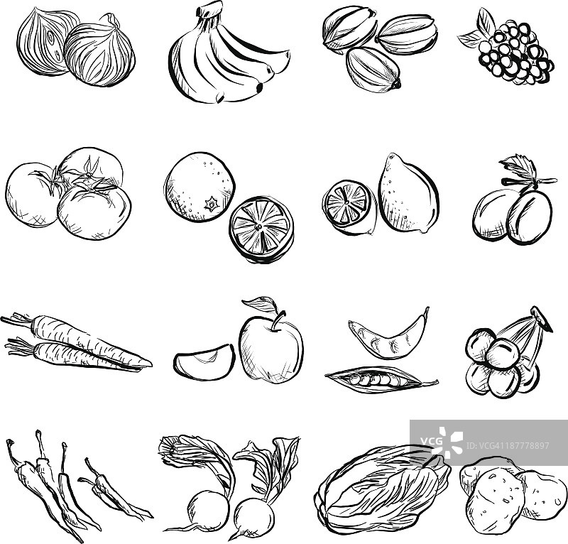 水果和蔬菜炭笔素描风格图片素材