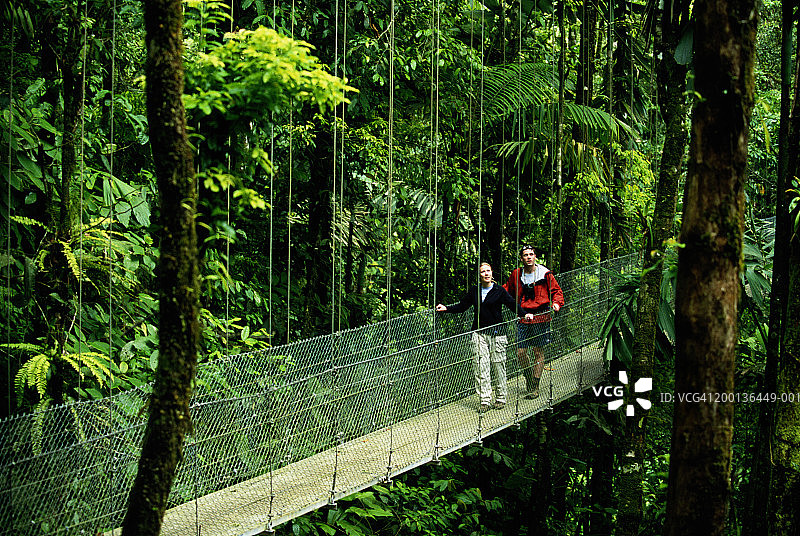 男人和女人走过热带雨林中的人行桥图片素材