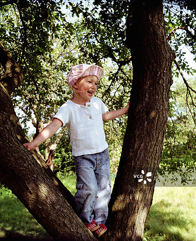 女孩(2-4)站在树干的分叉处，微笑着图片素材