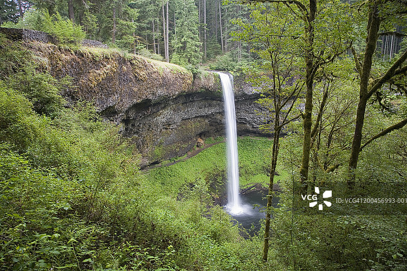 美国，俄勒冈州，银瀑布州立公园，银瀑布(模糊运动)图片素材