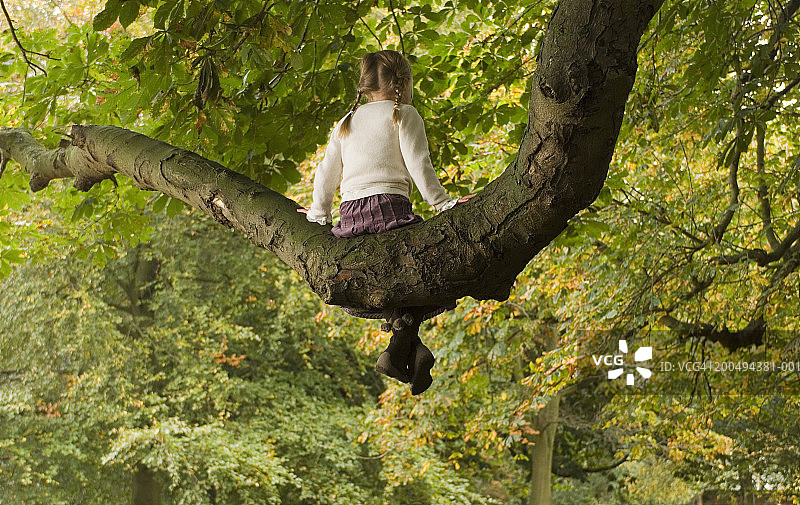 女孩(5-7)坐在树上，后视图，低角度视图图片素材