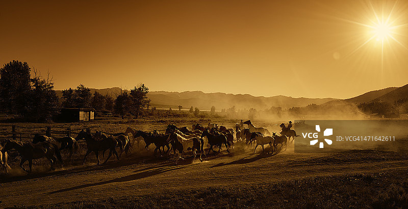 牛仔赶马到牧场在黄昏-日落图片素材
