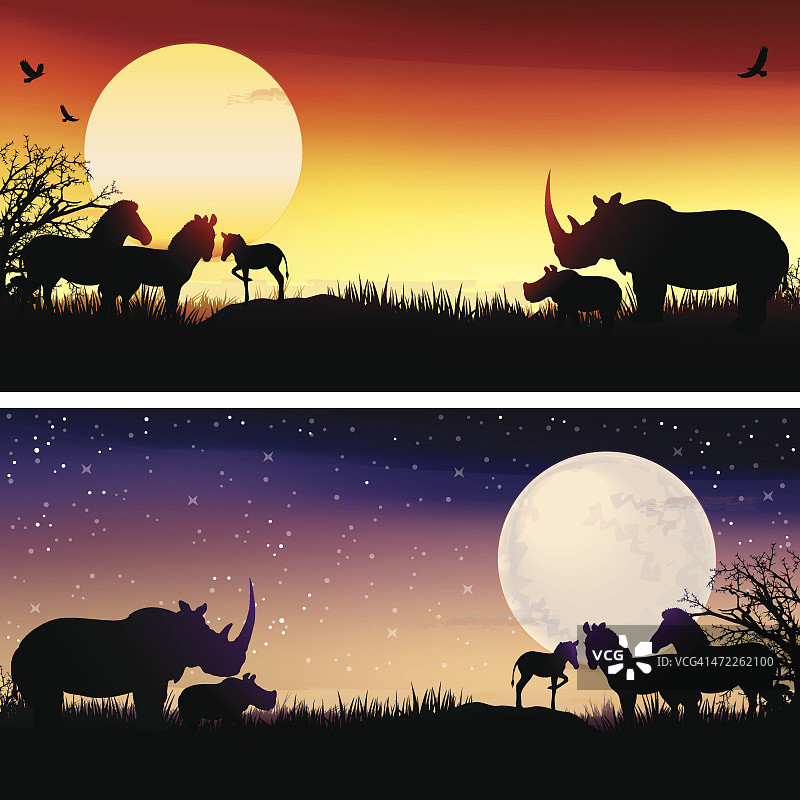 非洲犀牛和斑马的轮廓safari插图集图片素材