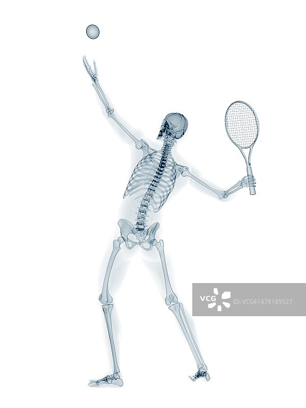 骷髅打网球，艺术品图片素材