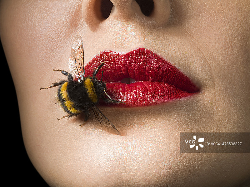 蜜蜂在女性嘴唇上用红色唇膏图片素材