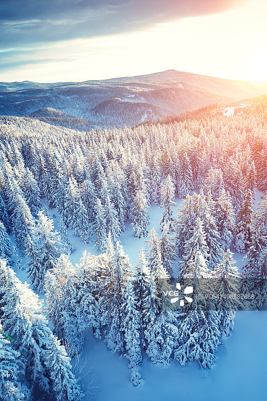 田园诗般的冬天日出图片素材