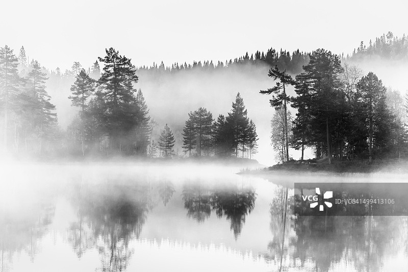 森林，湖泊和晨雾-黑色和白色图片素材