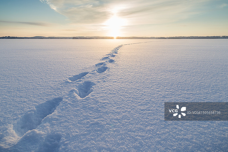 在芬兰一个晴朗的冬日里，雪地上的脚印。图片素材