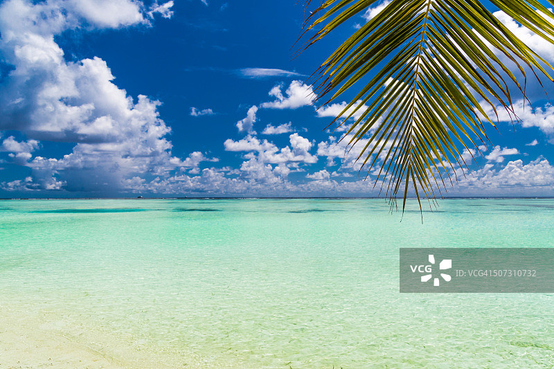 美丽的马尔代夫海滩与棕榈叶图片素材