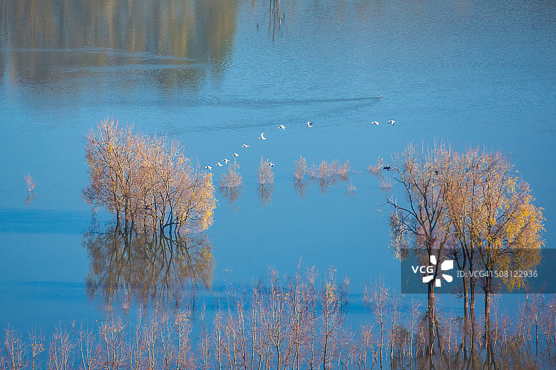 云南年湖的湿地风光图片素材