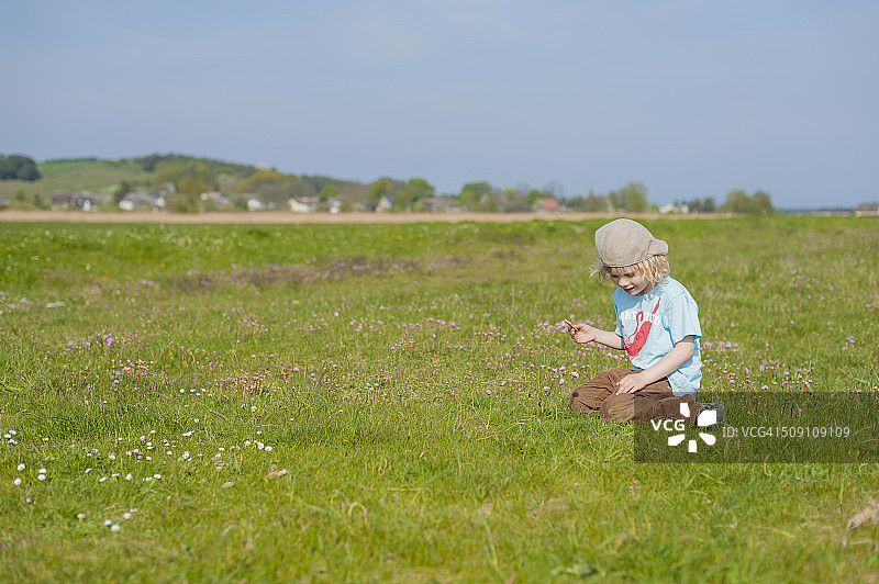 德国，梅克伦堡-西波美拉尼亚，吕根，从草地上摘花的男孩图片素材