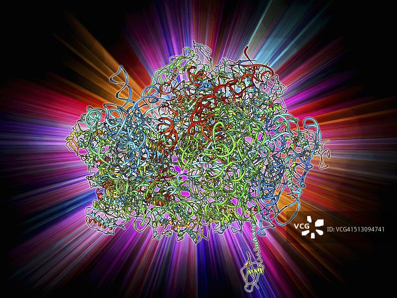 70核糖体，分子模型图片素材