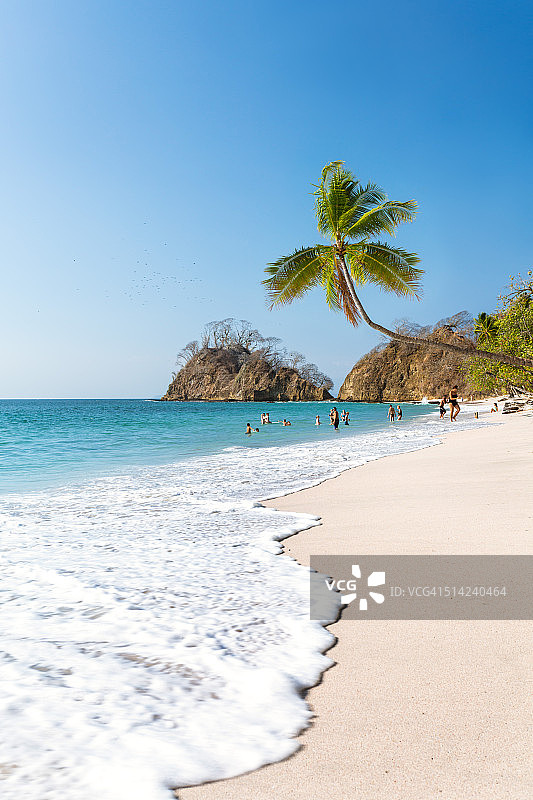 异国情调的热带海滩，棕榈树，Puntarenas，哥斯达黎加图片素材