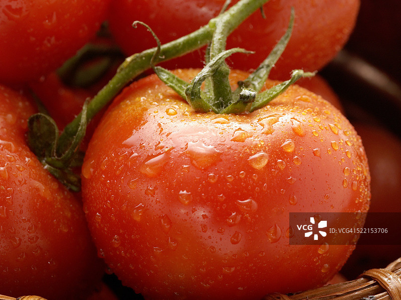 潮湿的西红柿图片素材