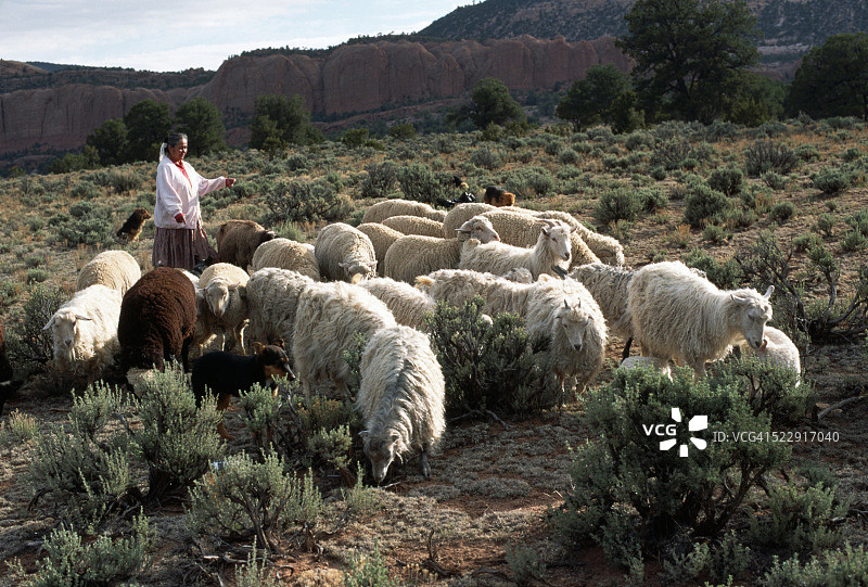 牧羊场的纳瓦霍妇女图片素材