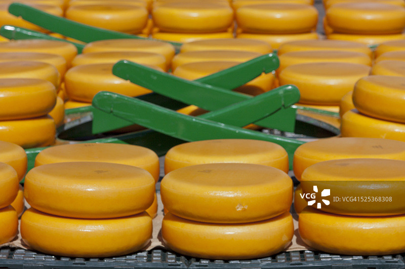 荷兰阿尔克马尔的传统荷兰奶酪市场图片素材
