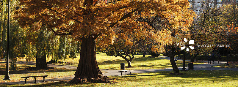 秋天的波士顿公共花园，美国马萨诸塞州波士顿图片素材