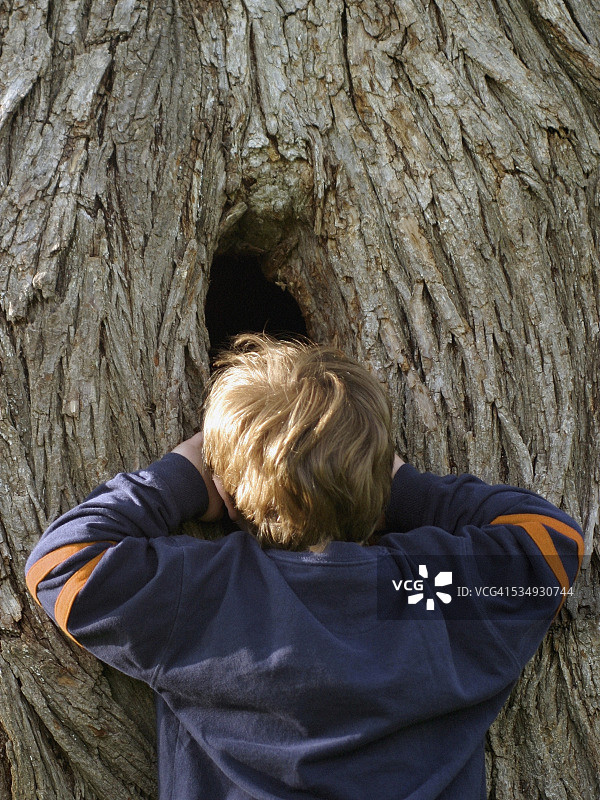 小男孩看着树干上的洞图片素材