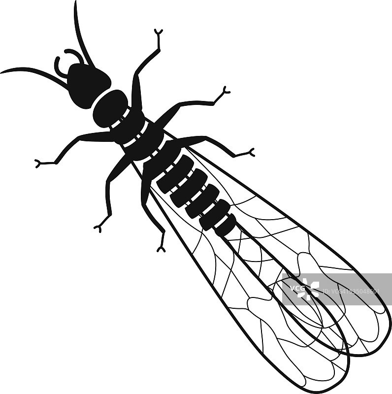 白蚁病媒在黑色和白色图片素材
