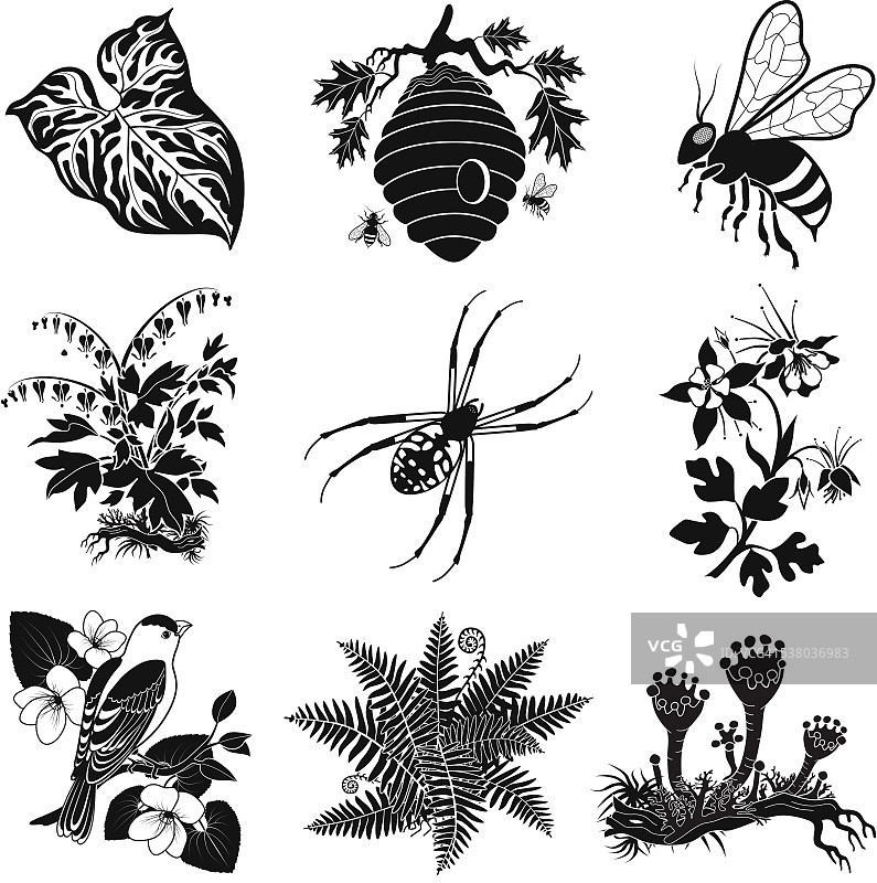 媒介森林野生动物黑白插图图片素材