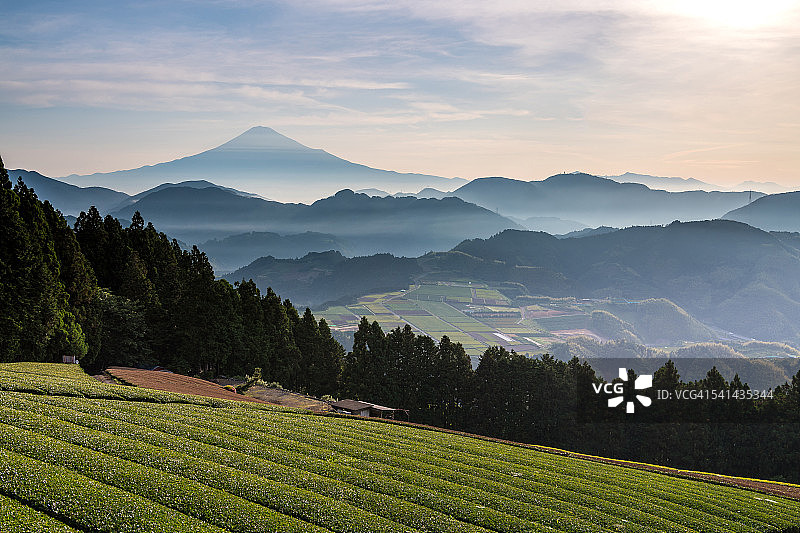 富士山有茶园谷地图片素材