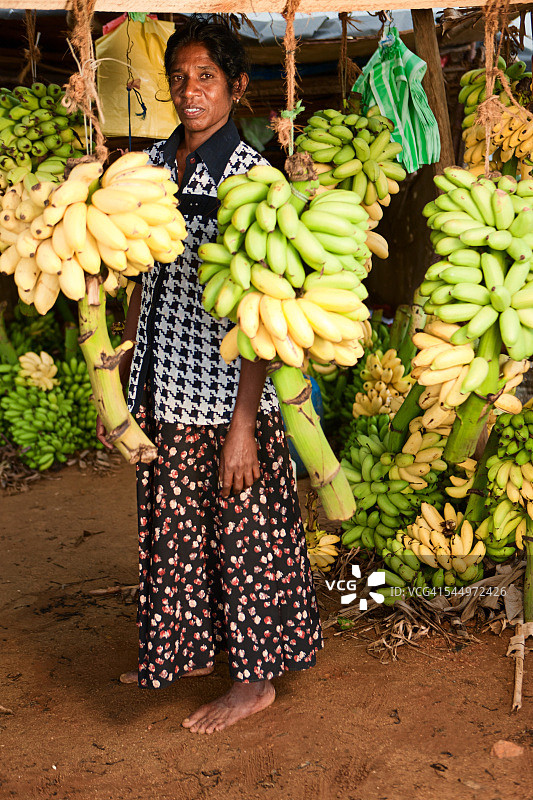 在他的店里卖香蕉的。斯里兰卡图片素材