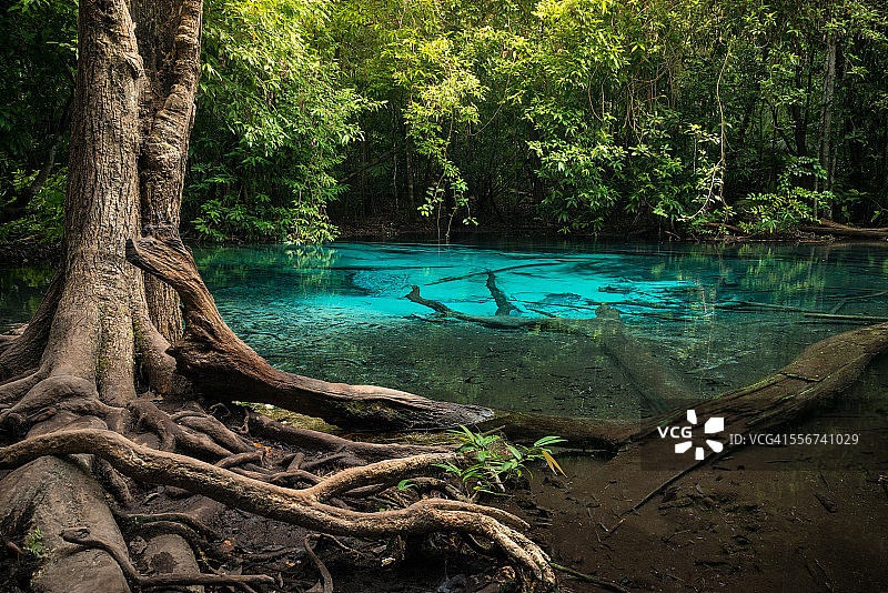 热带雨林中的蓝色泳池图片素材