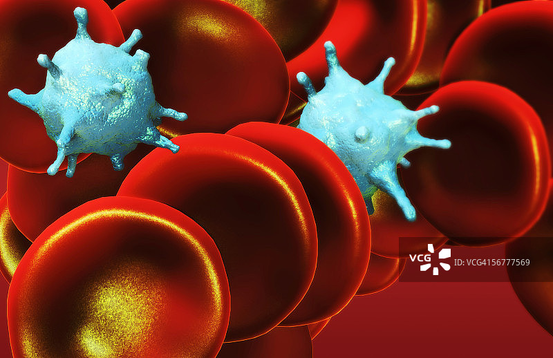 一团红细胞和两个血小板图片素材