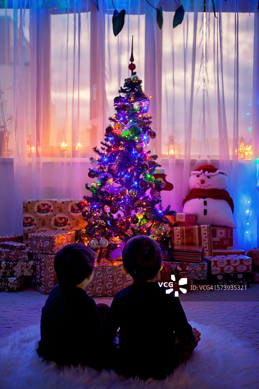 美丽的孩子们在看圣诞树图片素材