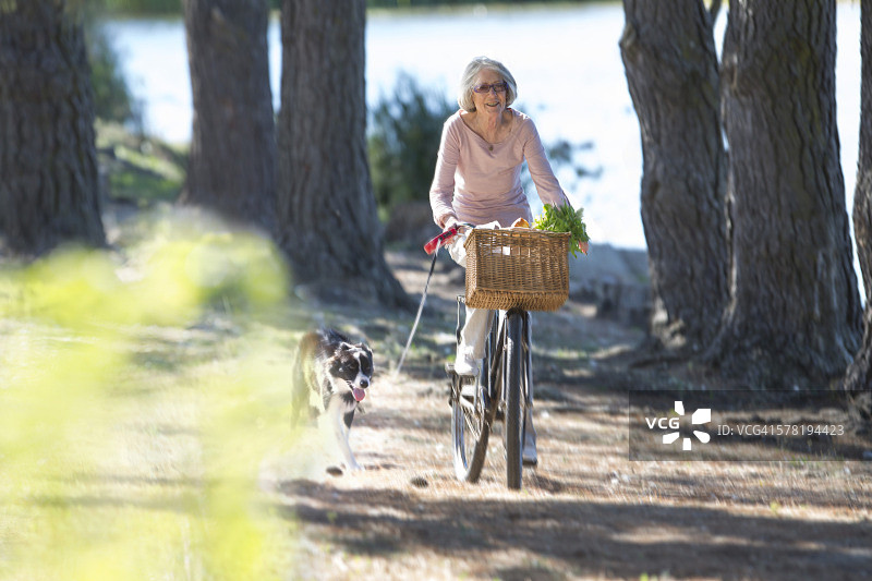 老年妇女骑自行车图片素材