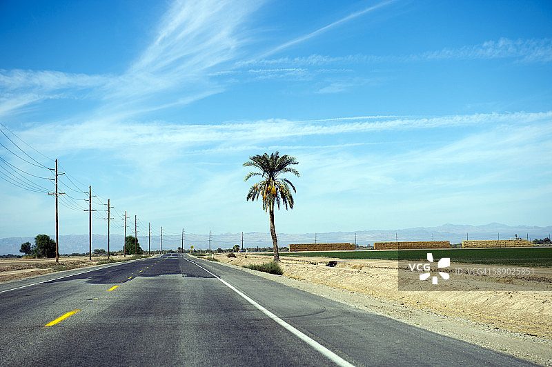 加州布劳利州附近的路和棕榈树图片素材