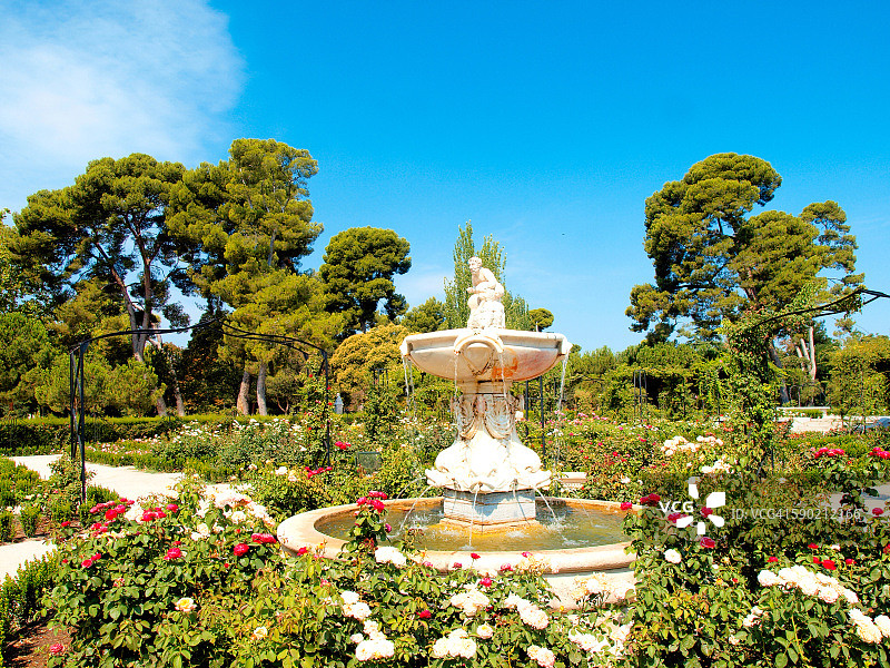 西班牙，马德里，雷蒂罗公园，罗莎莉达花园-玫瑰园图片素材