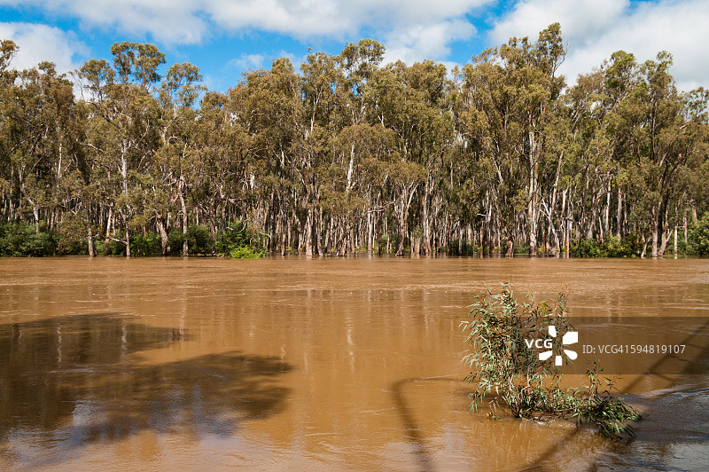 澳大利亚托坎瓦尔的墨累河发生洪水图片素材