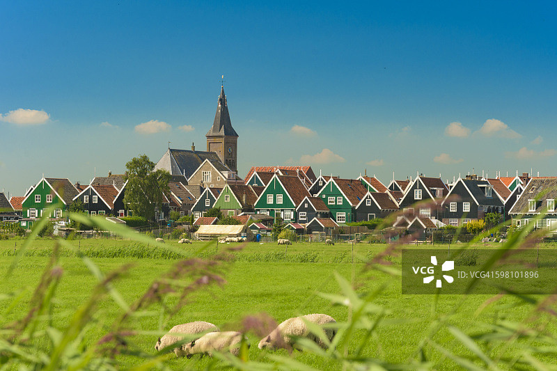 荷兰。绿色草地和马肯镇的景色。传统的荷兰的房子图片素材