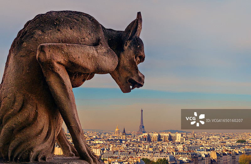 巴黎圣母院上的滴水嘴兽，以巴黎为背景图片素材