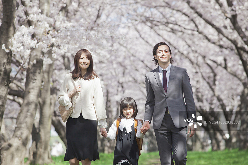 日本家庭在樱花树下散步图片素材