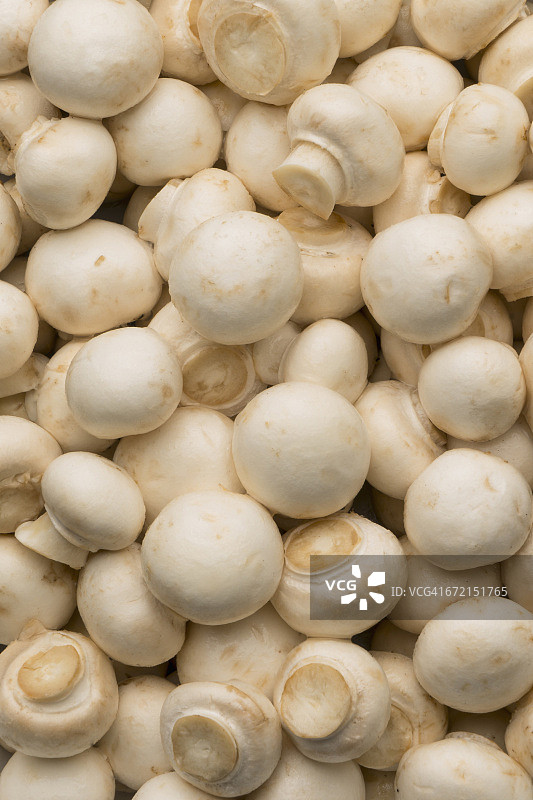白蘑菇堆图片素材