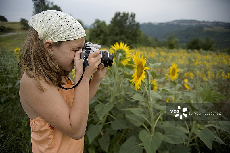 一个小女孩在田野里拍向日葵的照片。图片素材