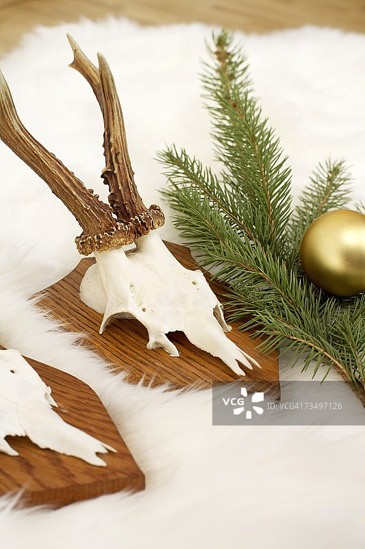 毛皮地毯上的角，冷杉树枝和圣诞树球图片素材