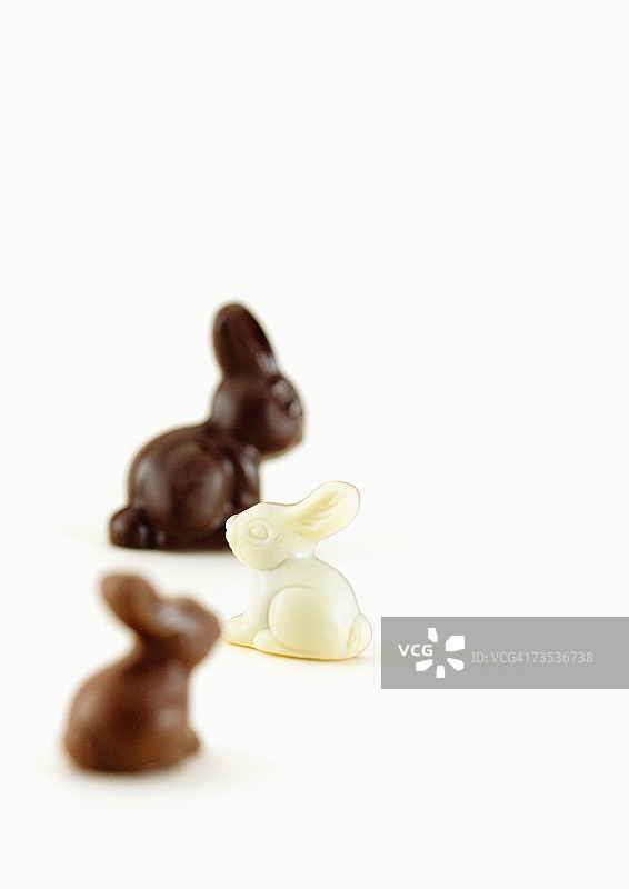 巧克力小兔子图片素材