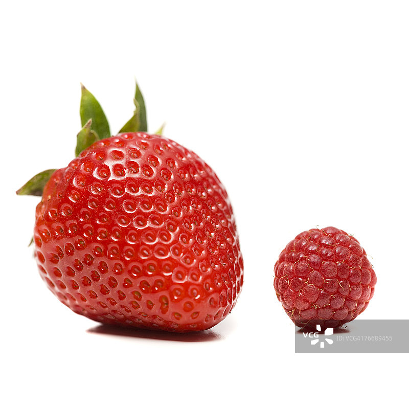 草莓和树莓图片素材