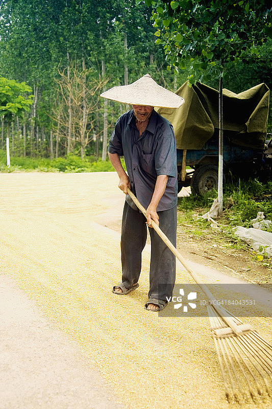 农民在田里翻耕，中国山东省，直沟图片素材