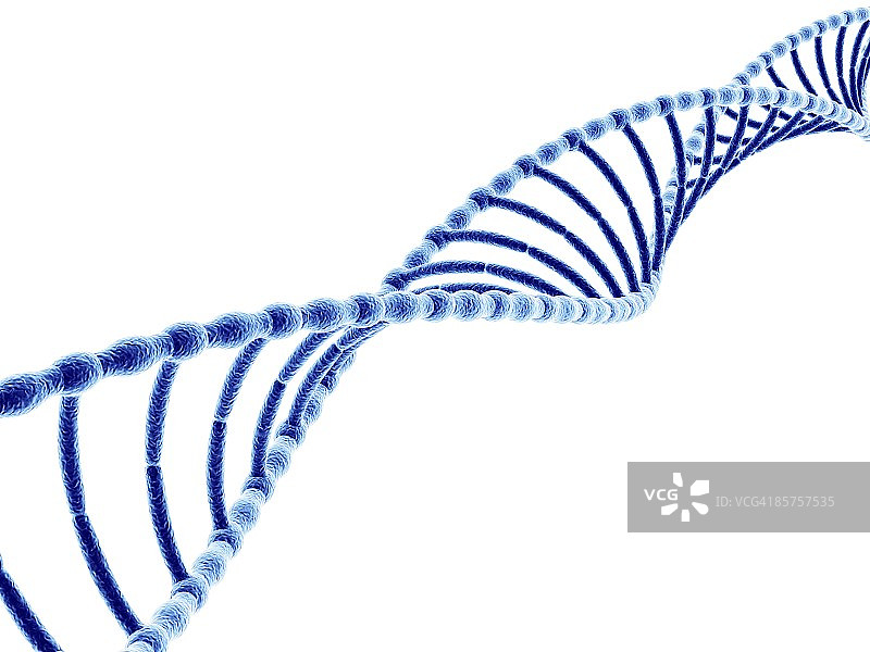 DNA(脱氧核糖核酸)分子，电脑绘图图片素材