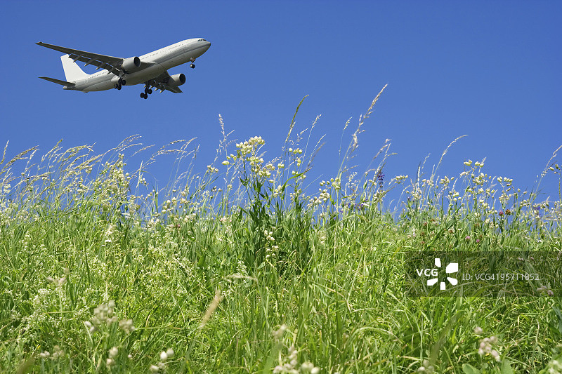 飞机在蓝天和绿草中飞行图片素材