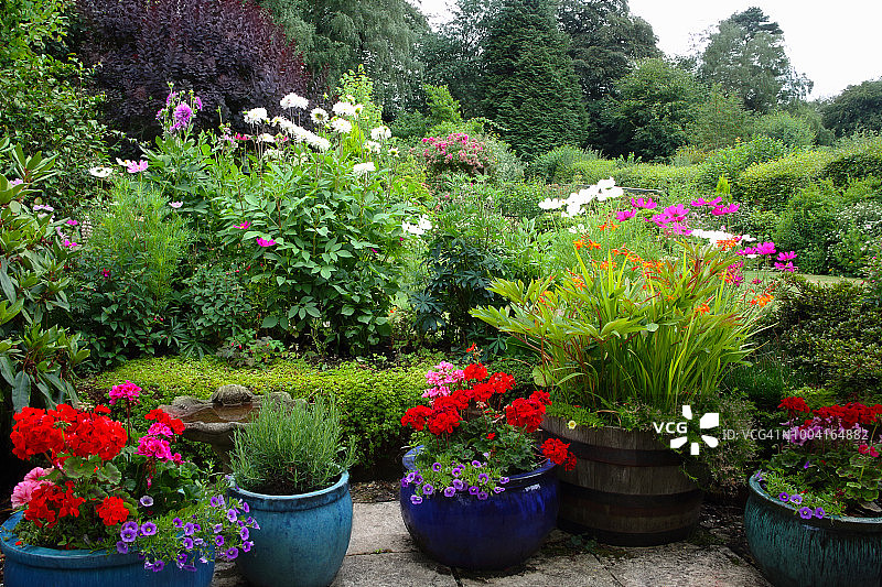英国乡村花园在阴天的夏天。图片素材