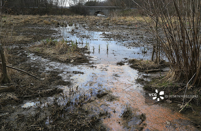 石油泄漏在受保护的湿地环境图片素材