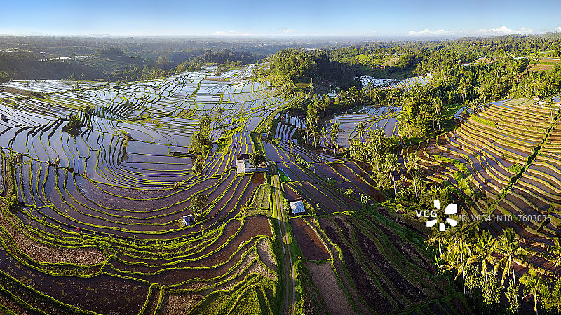 巴厘岛梯田鸟瞰图。巴厘岛东南部美丽而富有戏剧性的Jatiluwih稻田。图片素材
