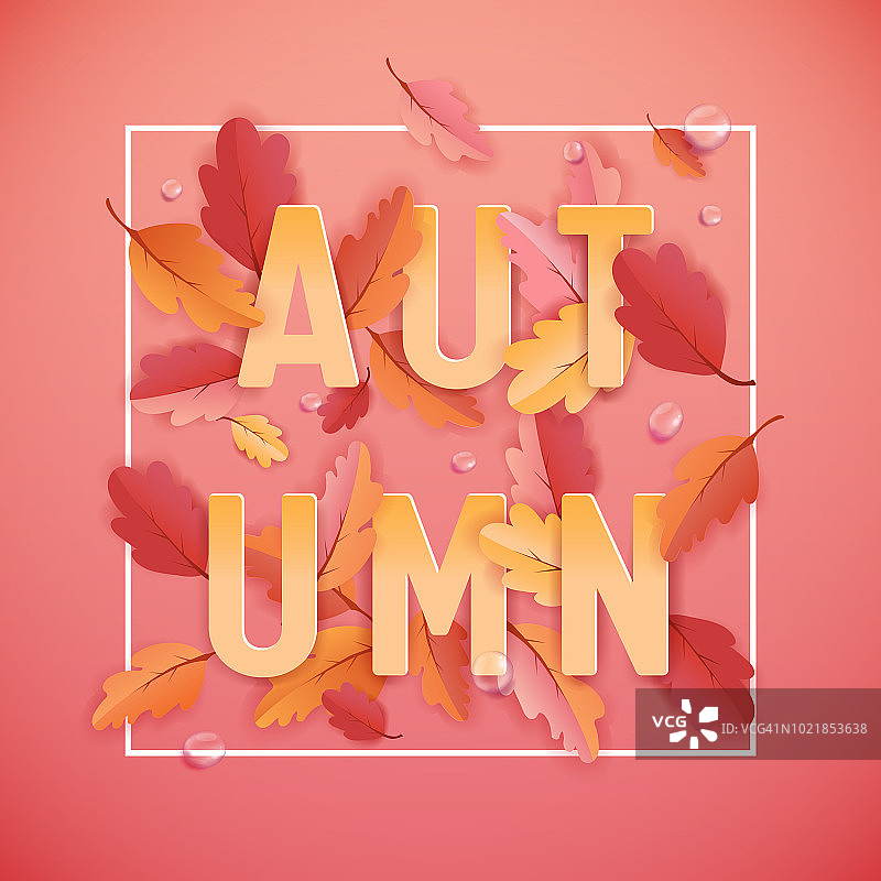 美丽的树叶和雨滴的秋天背景模板，为网络横幅，卡片模板，墙纸，封面，邀请的纸艺术的秋天插图图片素材