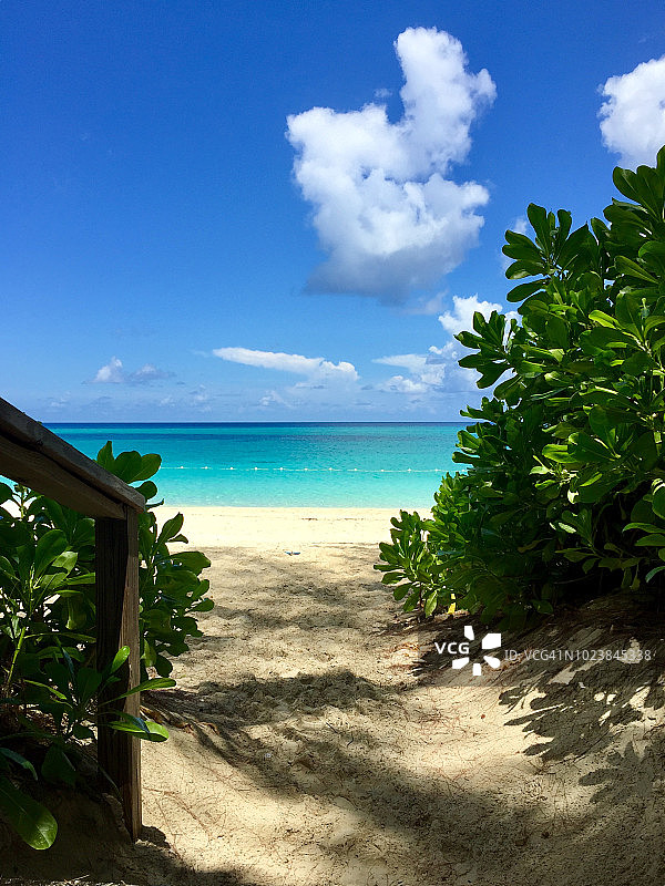 这是一条通往天堂岛巴哈马最受欢迎的沙滩的小径图片素材