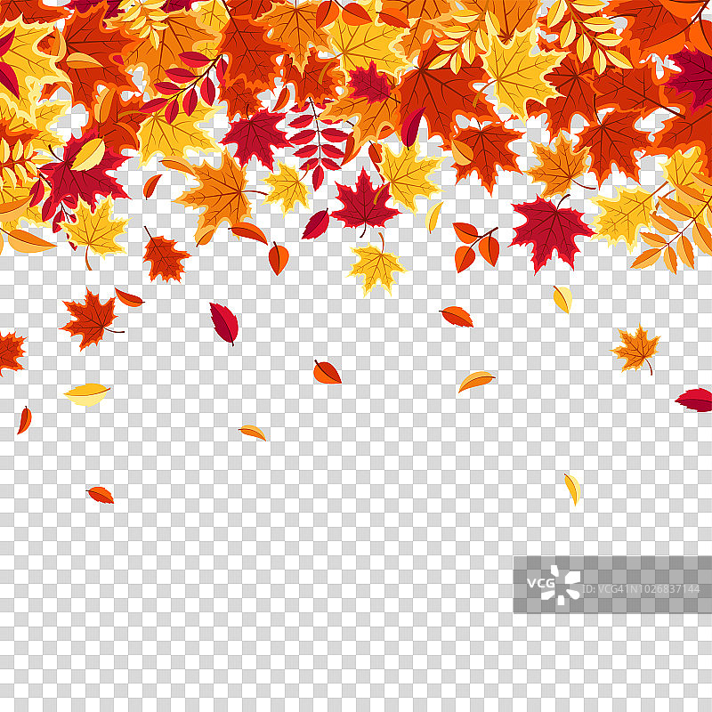 秋天的落叶。大自然的背景有红色、橙色、黄色的树叶。飞叶子。销售季节。矢量图图片素材